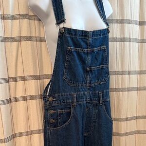 Free People We The Free Ziggy Overalls